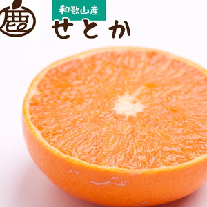 <先行予約>厳選せとか2kg+60g(傷み補償分)【柑橘・春みかんの王様】【光センサー選果・食べ頃出荷】【2月中旬より発送】 ※北海道・沖縄・離島への配送不可 ※2024年2月中旬~4月中旬頃に順次発送予定