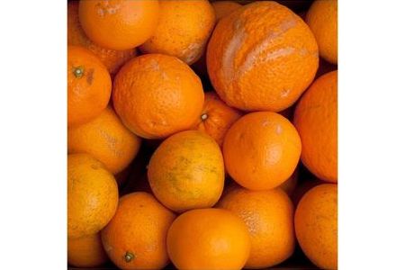 ＜2月より発送＞家庭用 清見オレンジ4kg+120g（傷み補償分）◇【光センサー食頃出荷】【樹上完熟きよみオレンジ・清見タンゴール・清美】【わけあり・訳あり】 ※北海道・沖縄・離島への配送不可 ※2025年2月上旬～5月上旬頃に順次発送予定