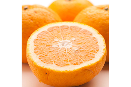 ＜4月より発送＞厳選 甘夏柑5kg+250g（傷み補償分）◇【初夏のみかん・旬の果物】【有田産】【光センサー食べ頃出荷】 ※北海道・沖縄・離島への配送不可 ※2026年4月上旬～5月下旬頃に順次発送予定