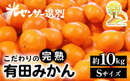 ＼光センサー選別／完熟有田みかんSサイズ　約10kg 有機質肥料100% ※2024年11月中旬頃より順次発送予定 ※沖縄・離島への配送不可