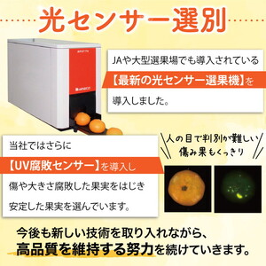 ＼光センサー選別／完熟有田みかんSサイズ　約10kg 有機質肥料100% ※2024年11月中旬頃より順次発送予定 ※沖縄・離島への配送不可