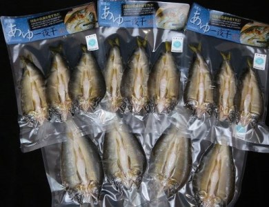 【大人気】「旨いはずです。」特選あゆ一夜干しセット（１３枚入） ※北海道・沖縄・離島へのお届け不可