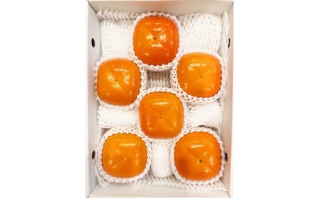 【2026年先行予約】和歌山秋の味覚 平核無柿(ひらたねなしがき) 約2kg 化粧箱入