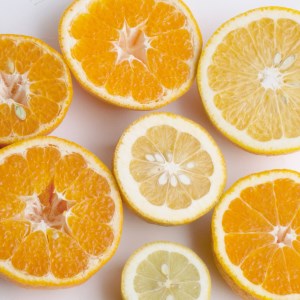 ＜1月より発送＞家庭用 柑橘詰合せ4kg+120g（傷み補償分）◇【訳あり・わけあり】【有田の春みかん詰め合わせ・フルーツ詰め合せ・オレンジつめあわせ】【光センサー選別】　※北海道、沖縄配送不可　※2025年1月上旬～4月下旬頃に順次発送予定