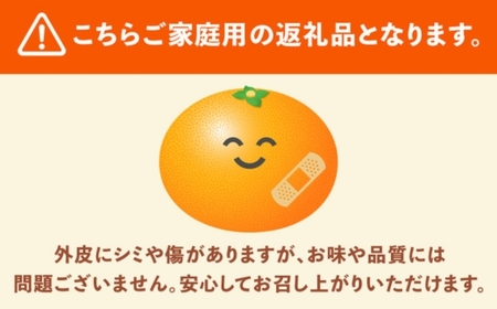 ＜1月より発送＞家庭用 柑橘詰合せ7.5kg+250g（傷み補償分）◇【訳あり・わけあり】【有田の春みかん詰め合わせ・フルーツ詰め合せ・オレンジつめあわせ】【光センサー選別】