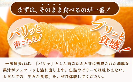 ＜4月より発送＞厳選 樹上完熟はっさく5kg+250g（傷み補償分）【有田の春みかん・五月八朔・木生りはっさく】【光センサー選別】