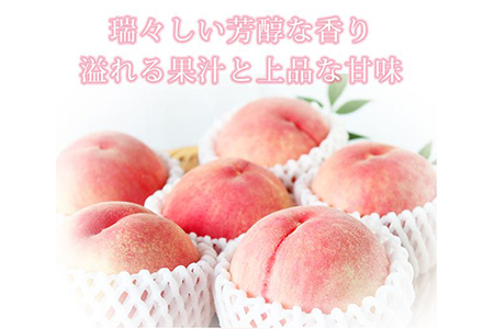 紀州和歌山産の桃 約1.8kg 化粧箱入◇ | 桃