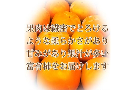 【ご家庭用わけあり】和歌山秋の味覚　富有柿　約7.5kg　※2024年11月上旬～11月下旬頃に順次発送予定■