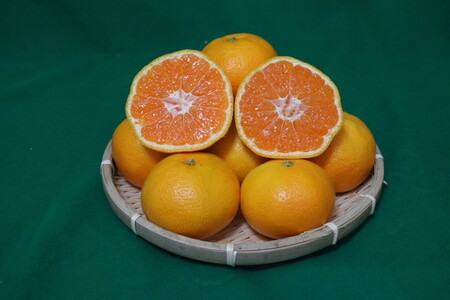 和歌山県産 有田みかん 約3kg 秀品