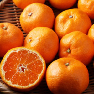 和歌山県産 有田みかん 約5kg 秀品