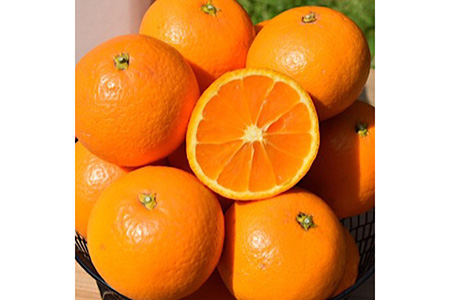 和歌山県産 有田の清見 約5kg 秀品