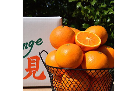 和歌山県産 有田の清見 約5kg 秀品