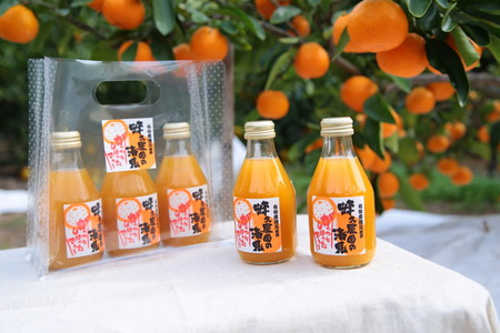 田村みかん蜂久農園の清見がっつりしぼったでぇ　清見ジュース(180ml×12本)≪果実 飲料 100% ビタミン ストレート 贈答 ギフト 有田産≫※2026年4月以降に順次発送予定
