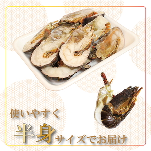 地元産 冷凍伊勢海老カット(サイズ不揃い）約1kg◇