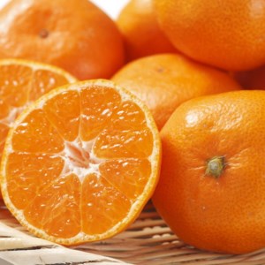 [秀品]和歌山有田みかん4kg(2Lサイズ) ｜ ふるさと納税 ミカン