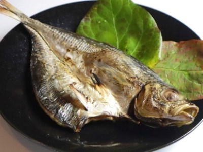 紀州ゆあさ魚義 こだわりの干物 Bセット ≪サバ タイ サンマ アジ