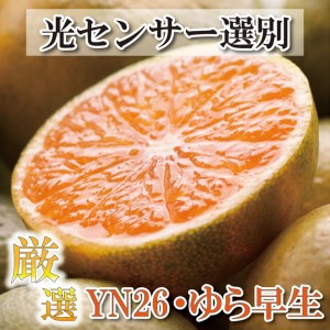 ＜9月より発送＞厳選 極早生有田みかん5kg+150g（傷み補償分）【YN26・ゆら早生】 ※着日指定不可 ※北海道・沖縄・離島への配送不可 ※2024年9月中旬～11月中旬頃に順次発送予定