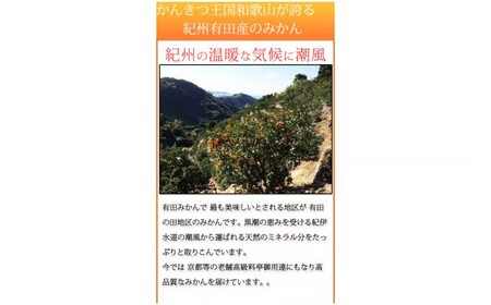 【先行予約】【ご家庭用訳あり】田村みかん 5kg◇｜ミカン 有田 紀伊｜ 蜜柑 柑橘 果物 フルーツ 糖度 甘い 濃厚 コク ジューシー 先行予約 みかん 国産 産地直送 人気 美浜町