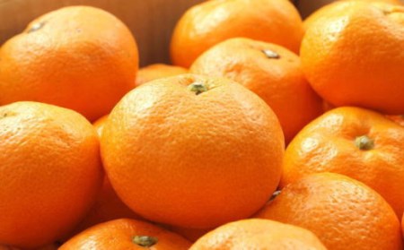 【有田のブランドみかん】田村みかん 約5kg (Sサイズ・秀品)