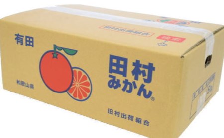 【有田のブランドみかん】田村みかん 約5kg (Sサイズ・秀品)