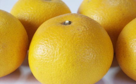 【手選果】有田産の八朔10kg（SまたはMサイズいずれかお届け） ※2026年1月下旬～2月下旬頃に順次発送予定