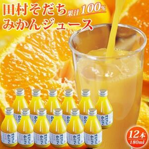 果汁100%　田村そだちみかんジュース　180ml×12本【1216834】