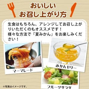 【2026年4月中旬より発送】夏みかん7.2kg【日高町】【1216956】