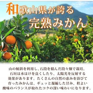 【2026年11月下旬より発送】【ご家庭用訳アリ】紀州有田産濃厚完熟温州みかん 7.5kg【日高町】【配送不可地域:離島】【1216966】