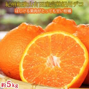 果肉プリプリ♪　完熟紀州デコ(不知火) 約5kg【日高町】【配送不可地域：離島】【1216970】