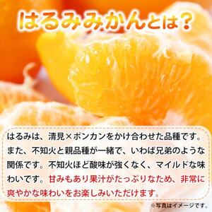 果肉ぷりぷり!完熟はるみ　5kg【日高町】【1217231】