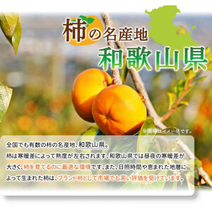【2026年11月発送】和歌山秋の味覚　富有柿　約4kg　化粧箱入【日高町】【1217241】