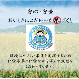 【令和6年10月～順次発送】★令和6年産新米★米「きぬひかり」5kg【1217322】