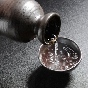 「日本城」吟醸純米酒と特別本醸造1.8L×2種セット【1217603】