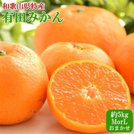[秀品]和歌山有田みかん約5kg(MサイズまたはLサイズのいずれかをお届け) (日高町)【1217613】