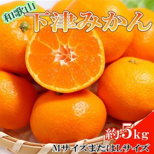 【産直】和歌山下津みかん約5kg(MサイズまたはLサイズのいずれかをお届け・秀品)(日高町)【1217632】