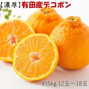 【お味濃厚】紀州有田産の大玉デコポン約5kg(12玉～18玉入り)(日高町)【1220497】
