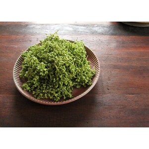 熊野牛　赤身ローストビーフ　500g(粉山椒付)【日高町】【配送不可地域：離島】【1220795】