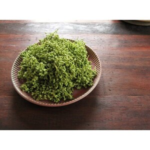 熊野牛　加工品　バラエティセットミニ(粉山椒付)【日高町】【配送不可地域：離島】【1220805】