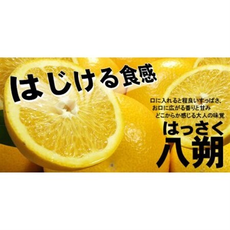 八朔(はっさく)[約10kg]和歌山県有田産春みかん(果実サイズおまかせ)【1223502】