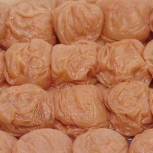 【紀州南高梅】はちみつ梅干し つぶれ梅(ご家庭用)1kg【1228492】