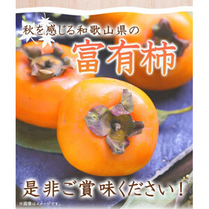 【2025年11月発送】【ご家庭用わけあり】和歌山秋の味覚　富有柿　約3.5kg【1270077】