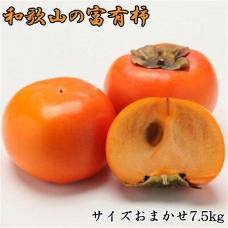和歌山産富有柿 約7.5kg サイズおまかせ 【日高町】【1280819】