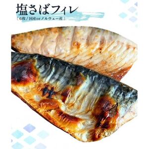 迷ったらコレ!魚鶴商店の天然紅サケ1kg ＆ 塩さばフィレ6枚セット【配送不可地域：離島】【1282469】