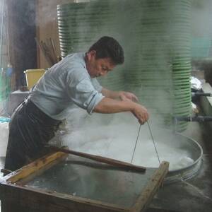 冷凍釜揚げしらす500g(100g×5袋)【配送不可地域:離島】【1296362】