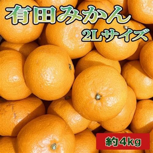 [秀品]和歌山有田みかん約4kg(2Lサイズ)「2026年11月中旬より順次発送」(日高町)【1297148】