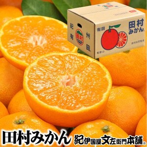 【日高町】田村みかん 秀品 約5kg【大玉サイズ】約20～30果/湯浅町田村地区産/産地直送【1341587】