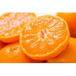 【日高町】田村みかん 秀品 約5kg【大玉サイズ】約20～30果/湯浅町田村地区産/産地直送【1341587】