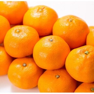 【日高町】田村みかん 秀品 約5kg【大玉サイズ】約20～30果/湯浅町田村地区産/産地直送【1341587】