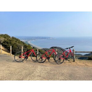 日高町へカムカム!レンタサイクル1日乗り放題券【1435376】