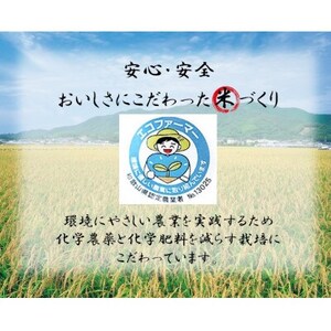 ★令和6年産新米先行受付★きぬひかり 2kg ＆ ミルキープリンセス 2kg　人気品種食べ比べセット【1437624】